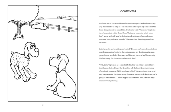 Doc's Dog Days (A Hickory Doc's Activity Book) - Image 2