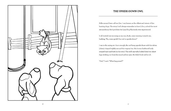 Doc's Dog Days (A Hickory Doc's Activity Book) - Image 3