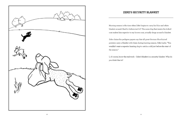 Doc's Dog Days (A Hickory Doc's Activity Book) - Image 4